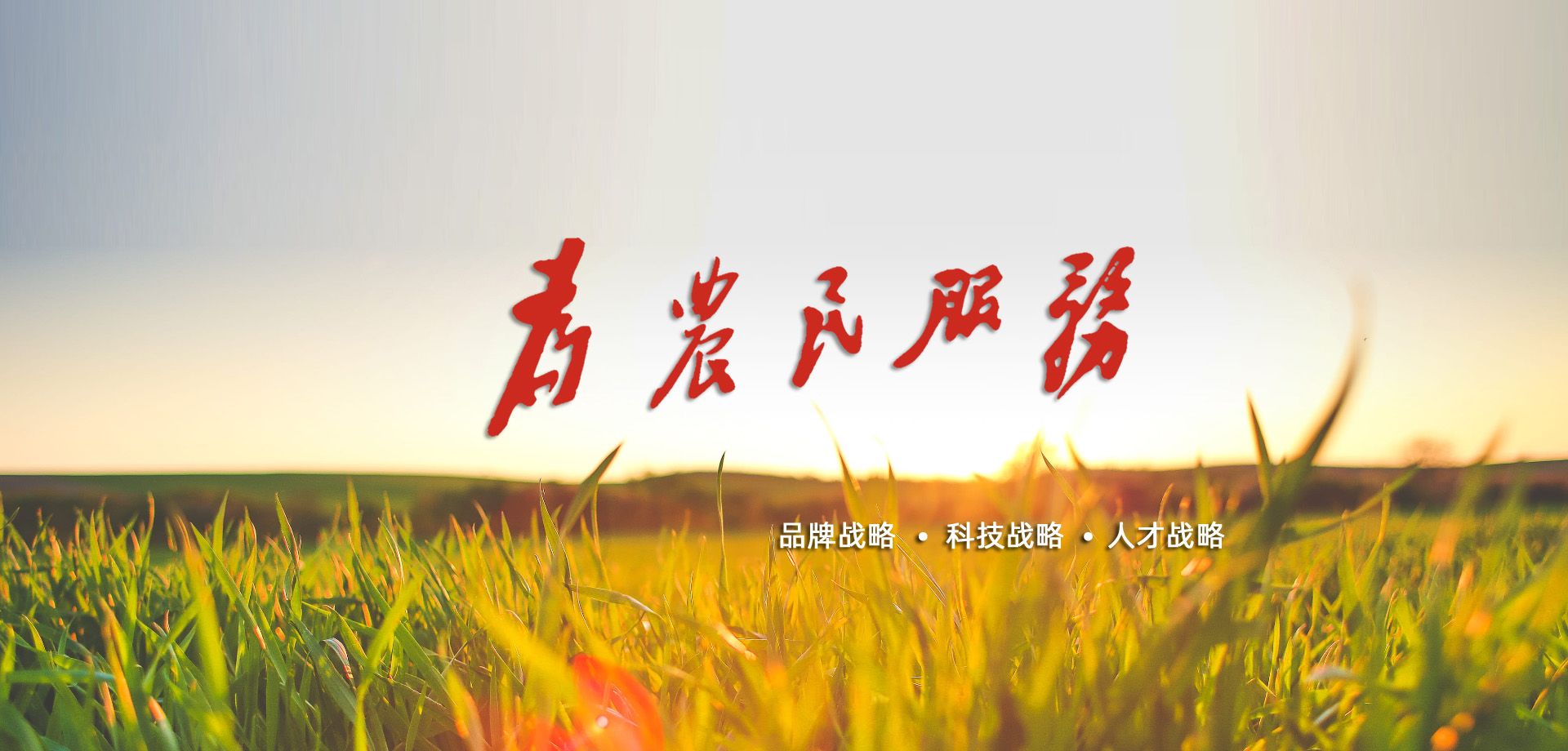 江西新施大壮生态农业有限责任公司